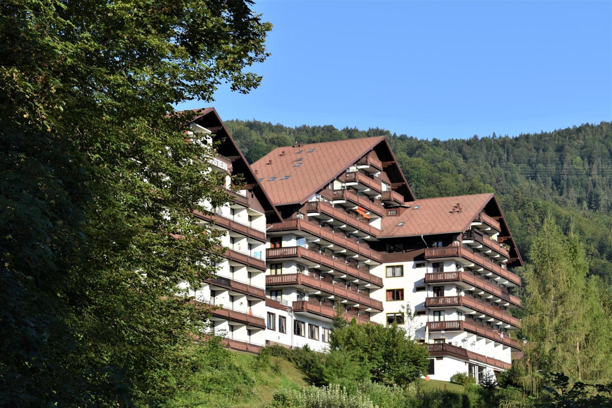 Apartment D 'Freizeit Bad Goisern Eksteriør billede